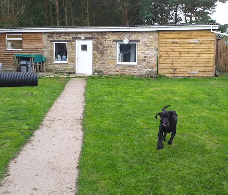 Togston Barns Kennels