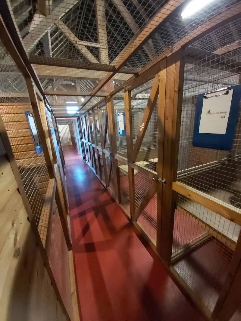 Vicarage Farm Cattery