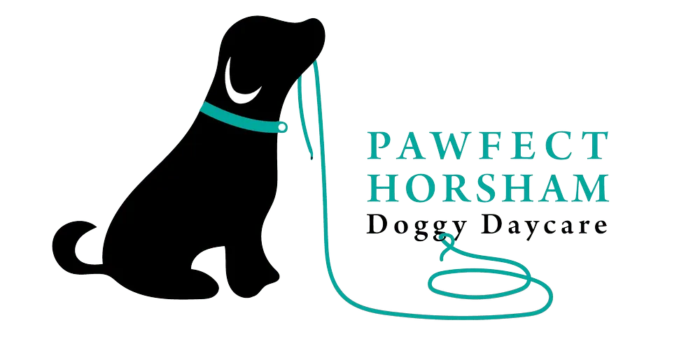 Pawfect Horsham Dogs, Horsham - Photo 2 of 2