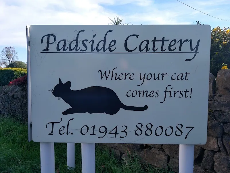 Padside Cattery