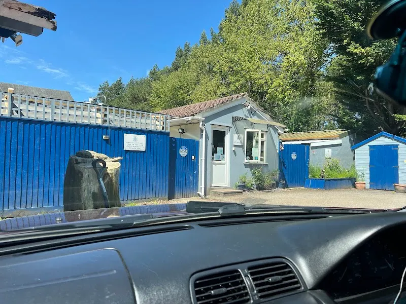 New Forest Kennels and Cattery