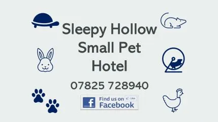 Sleepy Hollow Small Pet Hotel, Whitchurch - Photo 1 of 4