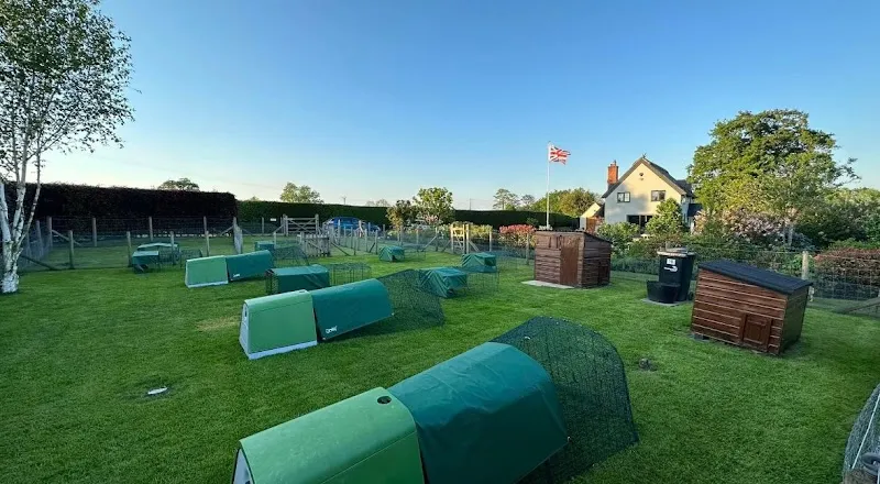 Sleepy Hollow Small Pet Hotel