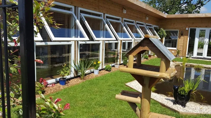 The Paddocks - Luxury Cat Hotel