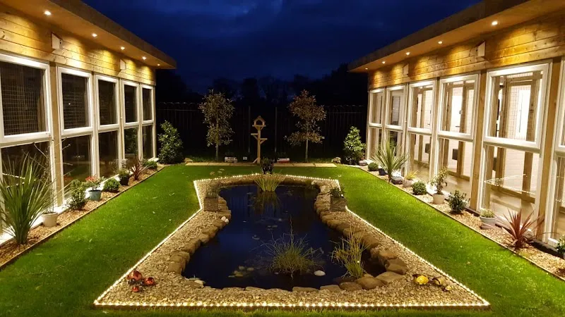 The Paddocks - Luxury Cat Hotel
