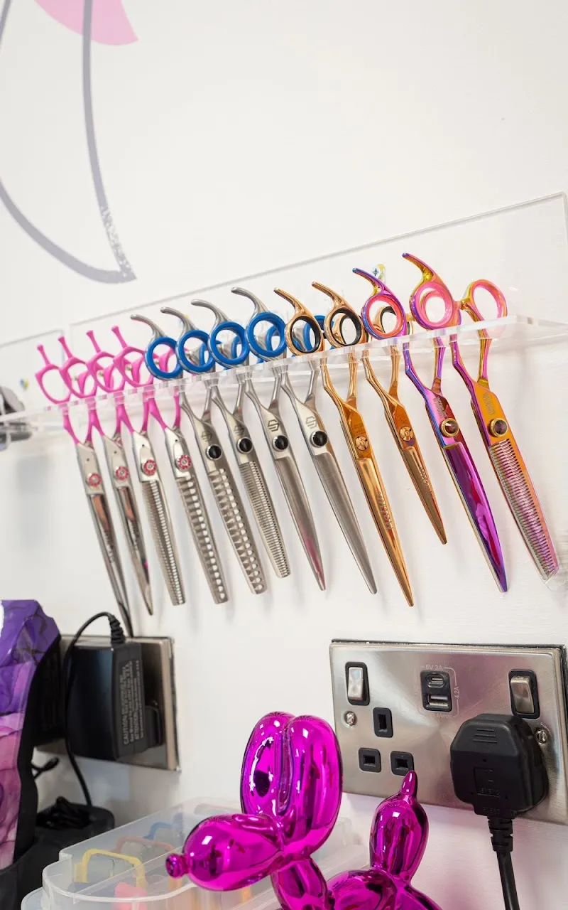 Sophies Pawtique & Spa