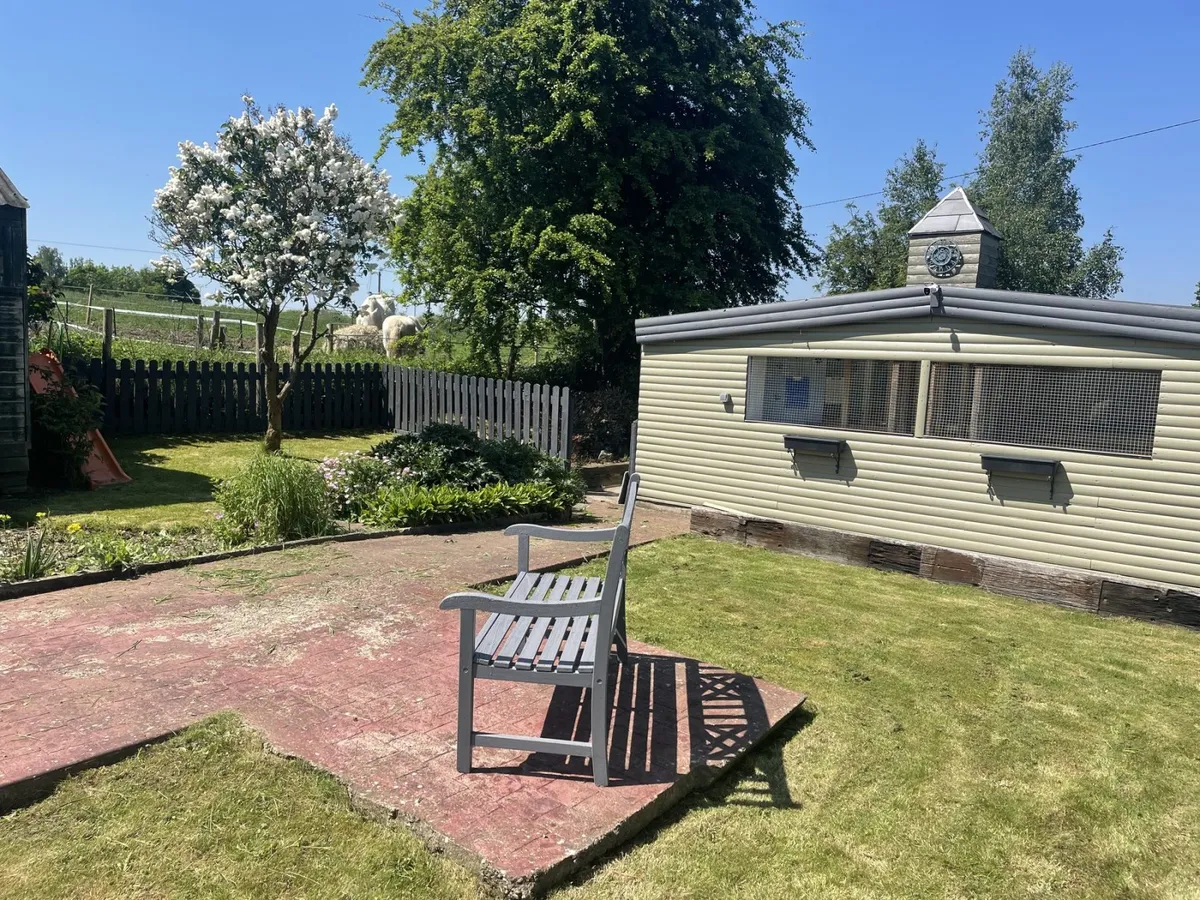 Willow Tree Cattery, Sheffield - Photo 2 of 2