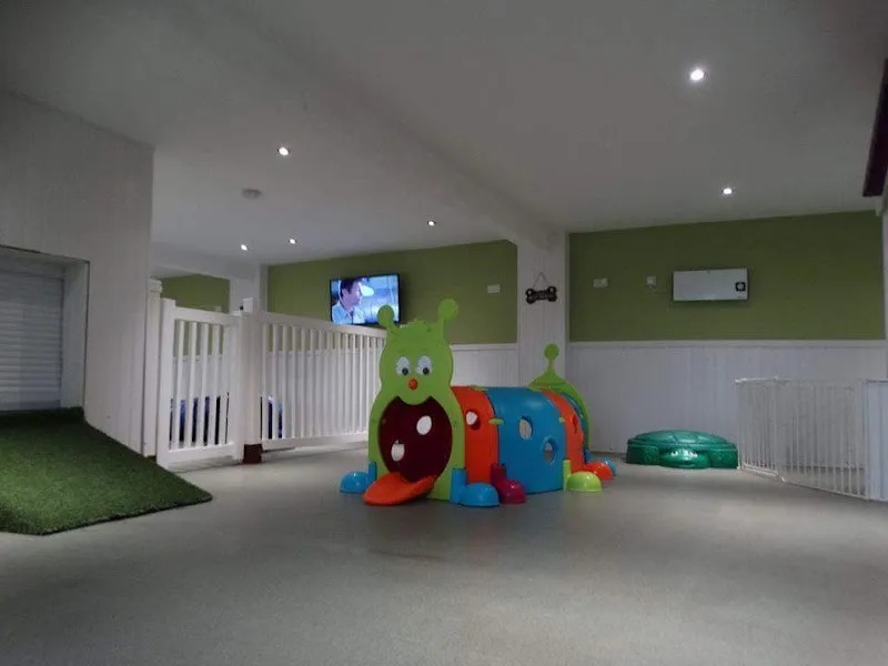 Balmoral Kennels and Cattery