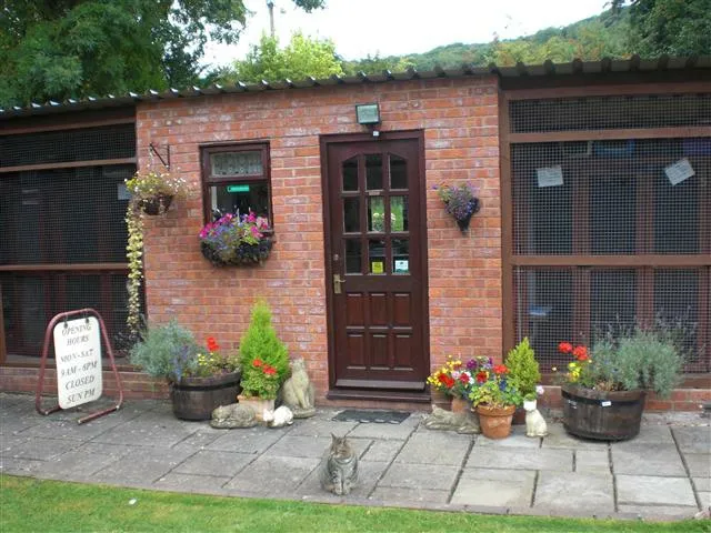 Hwicce Cottage Cattery - Photo 1
