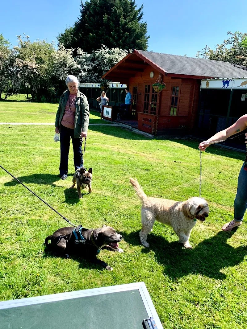 Summer Hill Pet Hotel & Spa