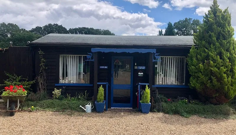 The Willows Cattery