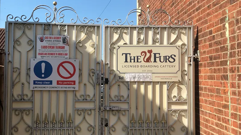 The Furs Cattery