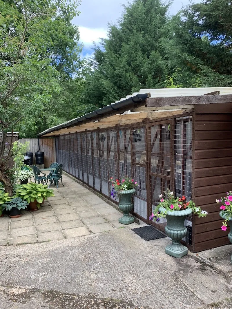 Willows Cattery