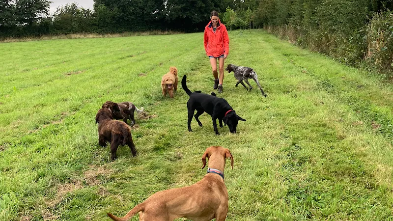 Rowley Cottage Kennels