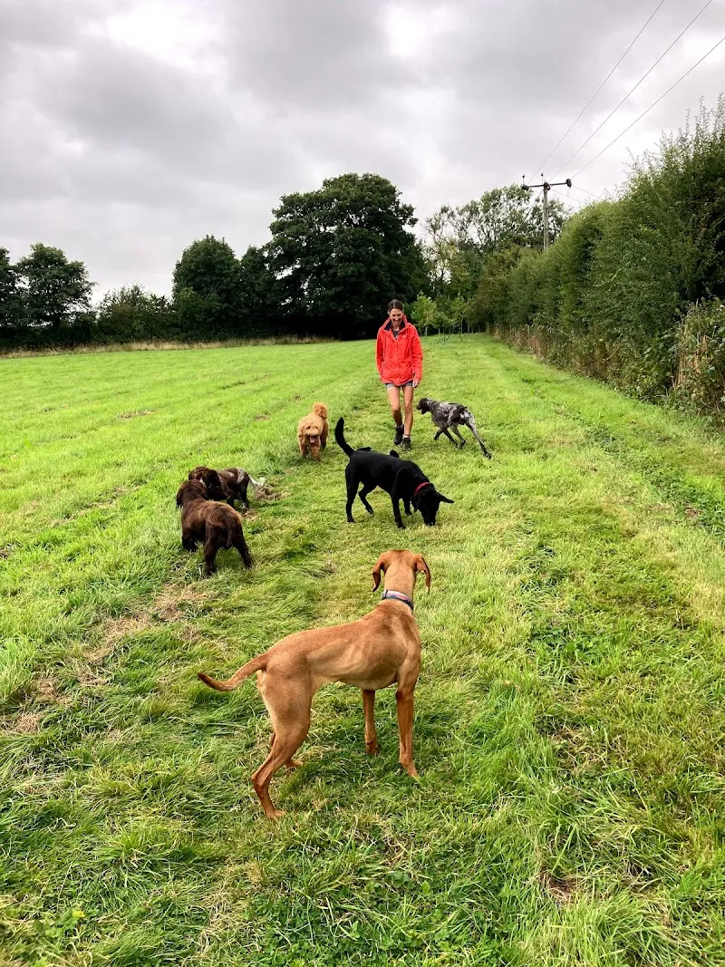 Rowley Cottage Kennels
