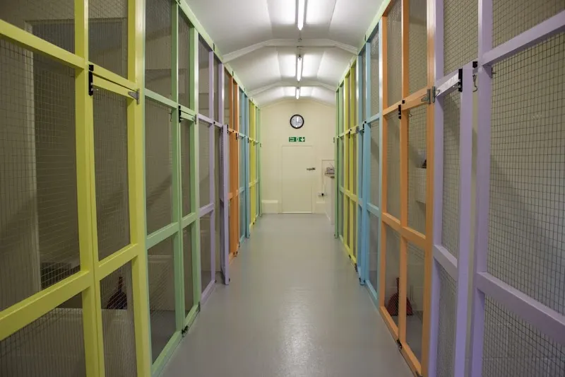 Howgrave Lodge Cattery