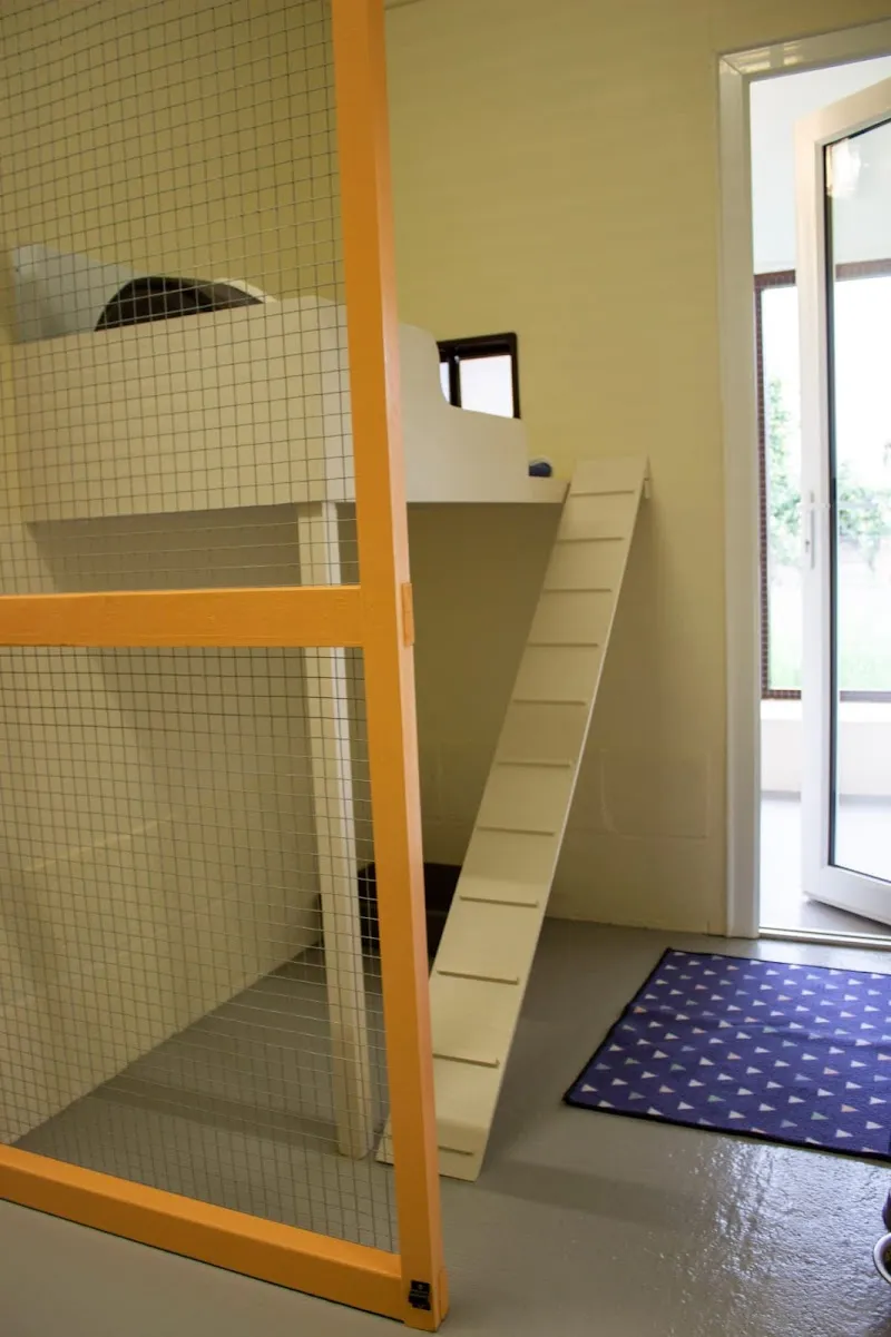 Howgrave Lodge Cattery