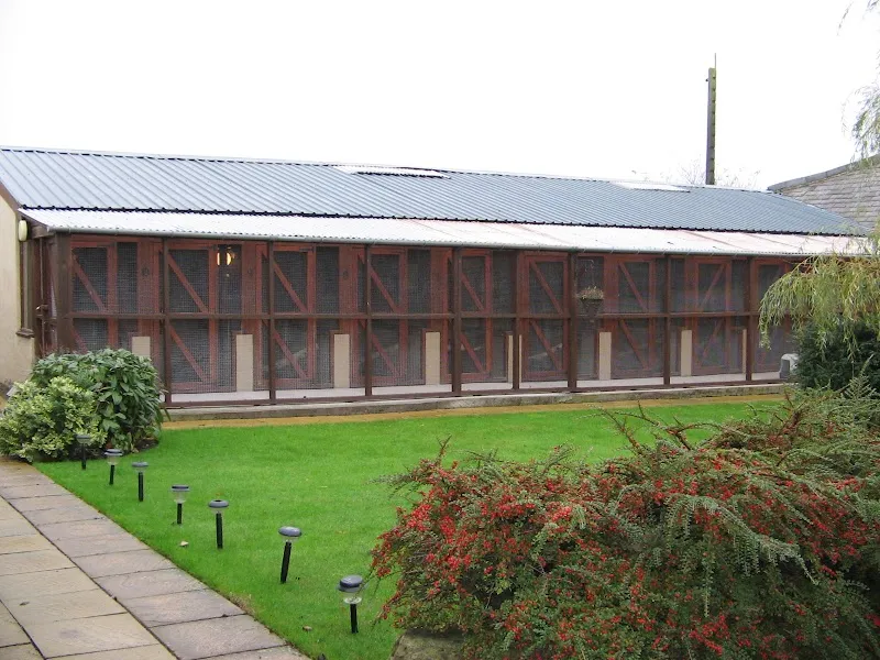 Willowmead Boarding Cattery