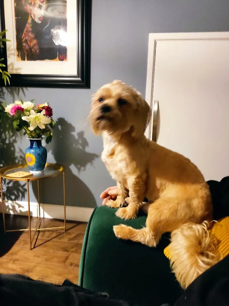 The Barn Animal Rescue Newtownards