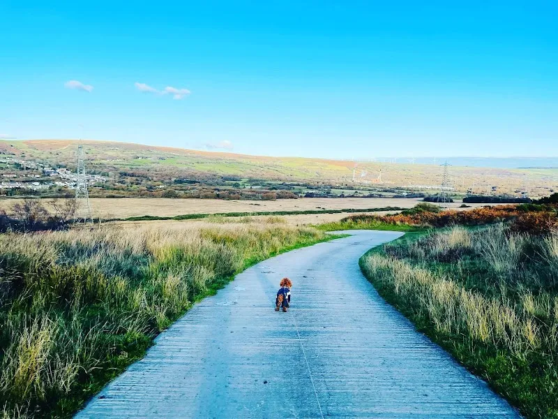 Barkers Lodge Hotel | Dog Kennels Bridgend