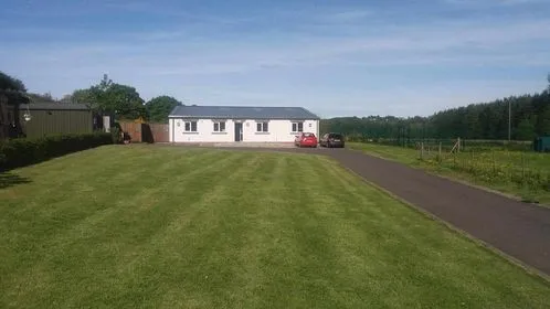 Mabie Forest Kennels and Cattery