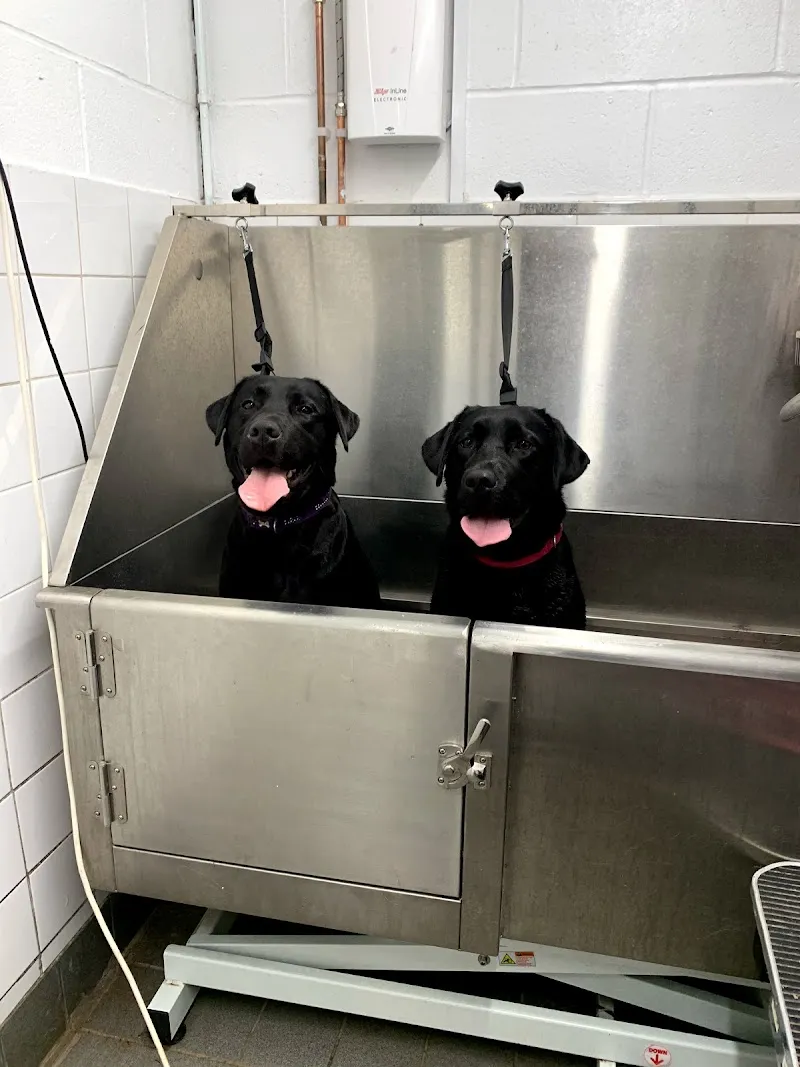 Glen acres kennels and cattery