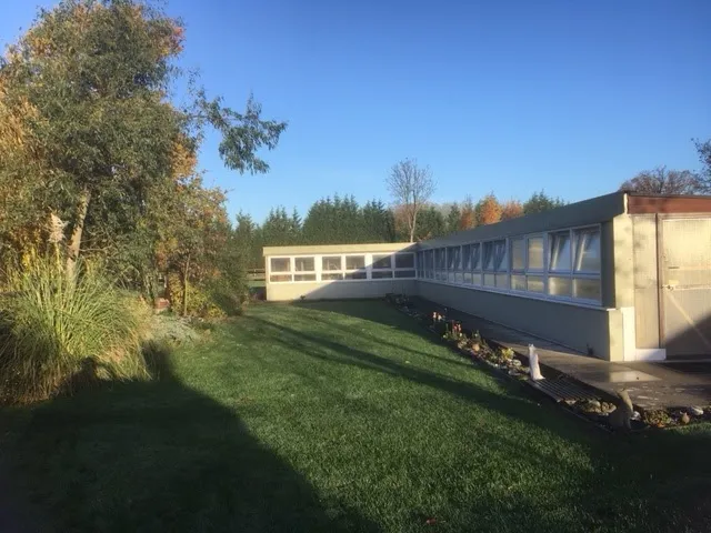 The Cat's Cradle Cattery