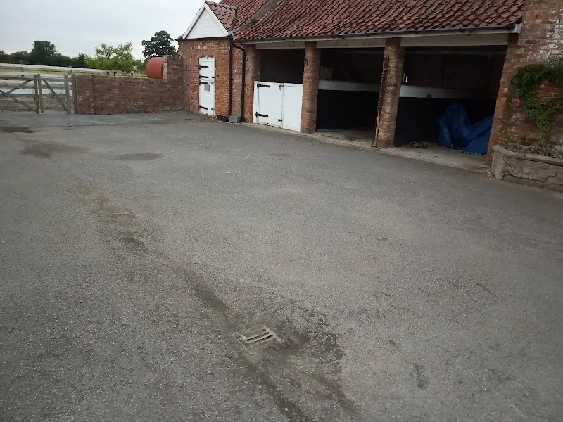 The Cat's Cradle Cattery