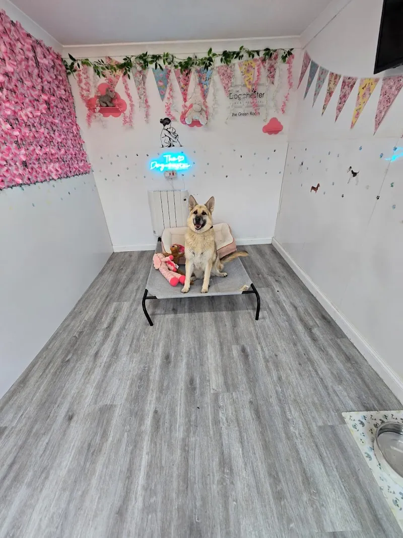 The Dogchester Luxury Pet Hotel, Lesmahagow, Lanarkshire