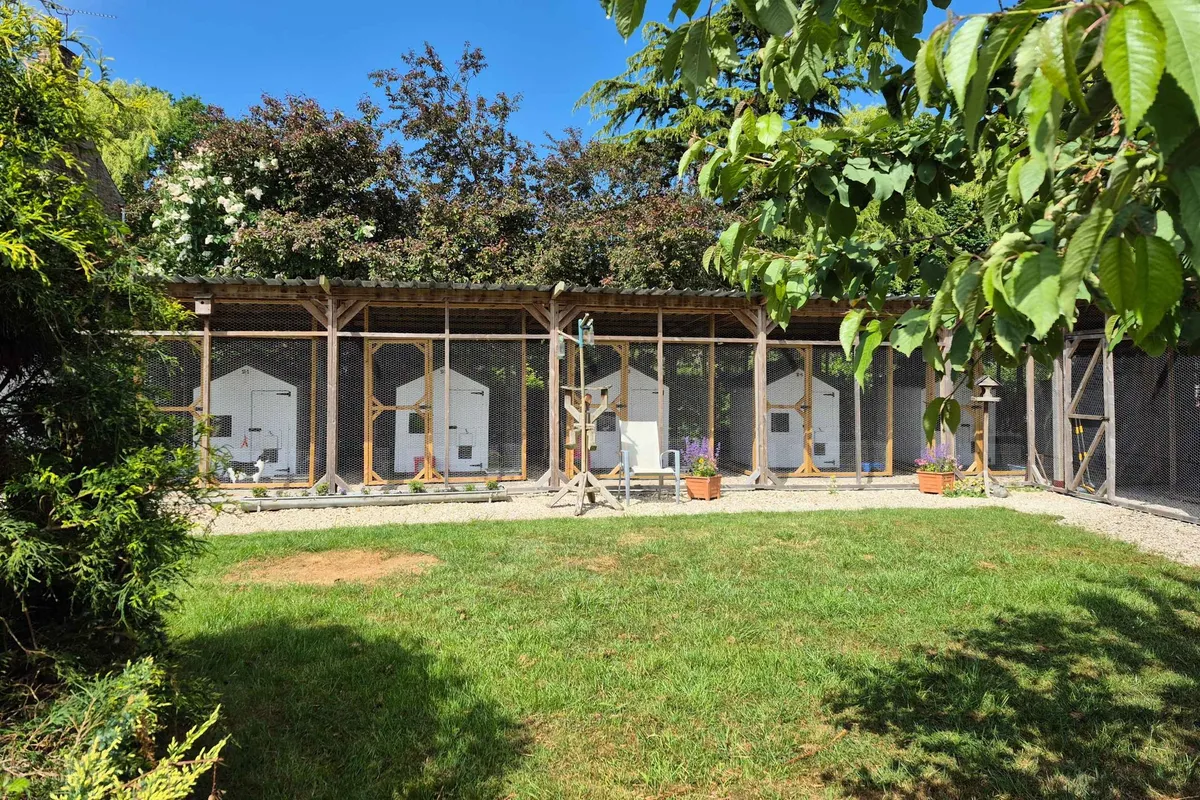 Orchard Cattery, Goole - Photo 2 of 2