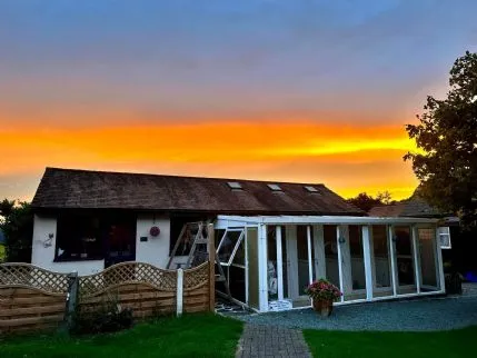 Herongate Village Cattery, Billericay - Photo 1 of 5