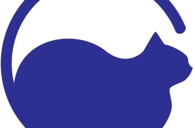 Herongate Village Cattery, Billericay - Photo 5 of 5