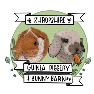 Shropshire Guinea Piggery & Bunny Barn, Newport - Photo 1 of 2
