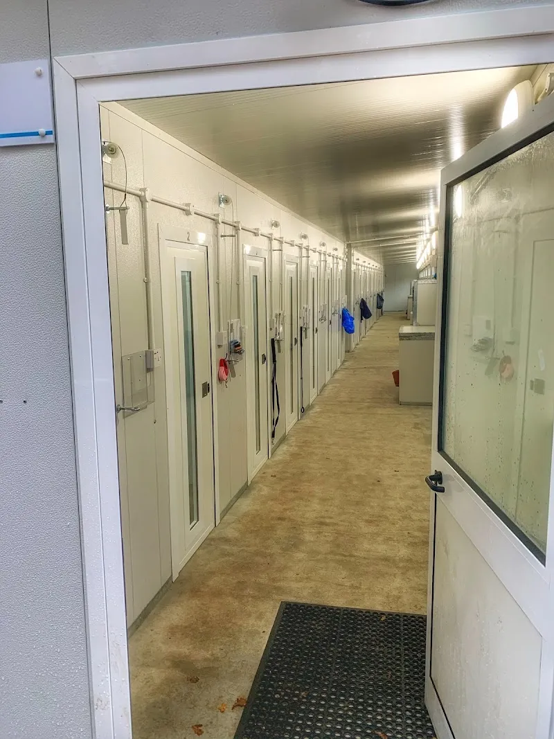 Linden Lodge Kennels & Cattery