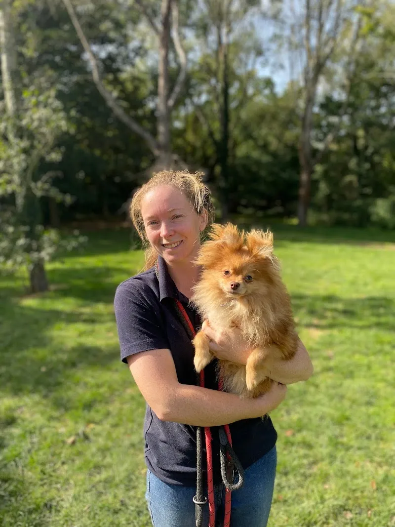 Linden Lodge Kennels & Cattery