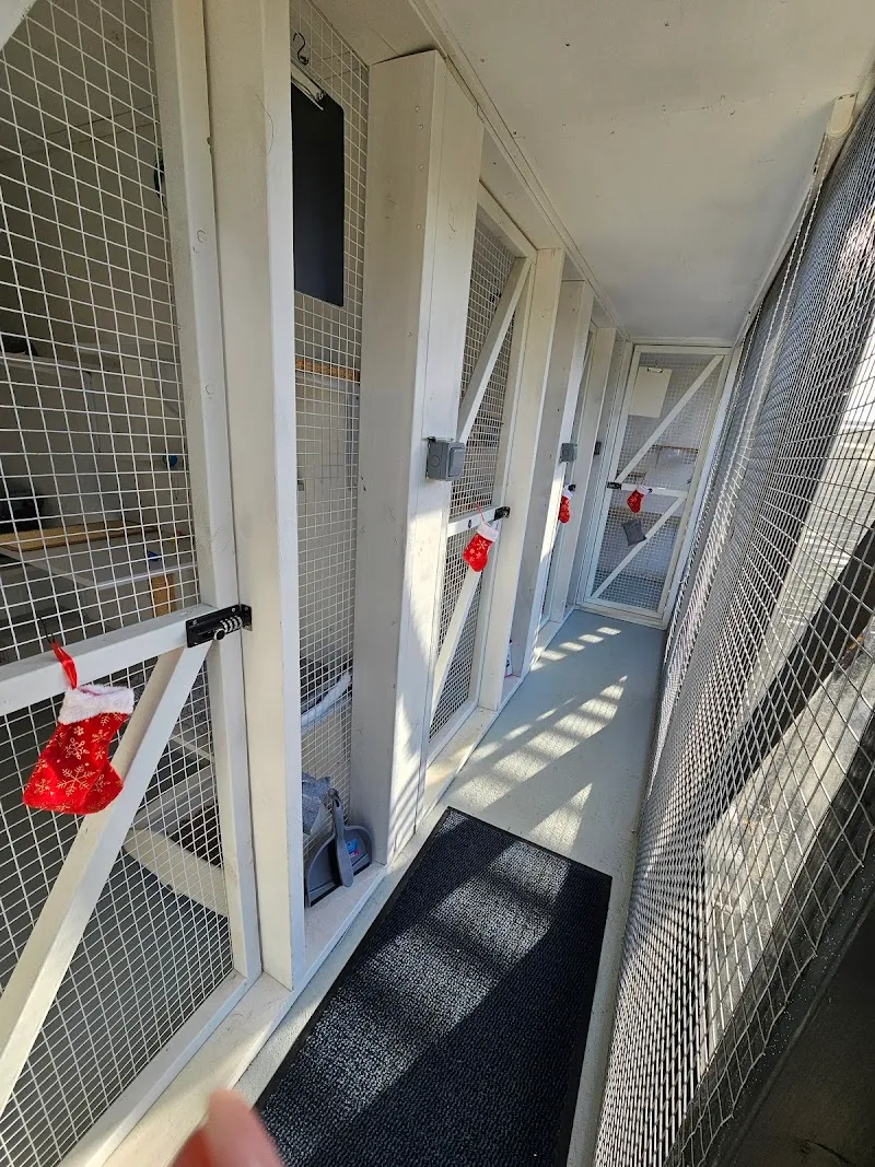 Purrchester Cat & Small Animal Hotel