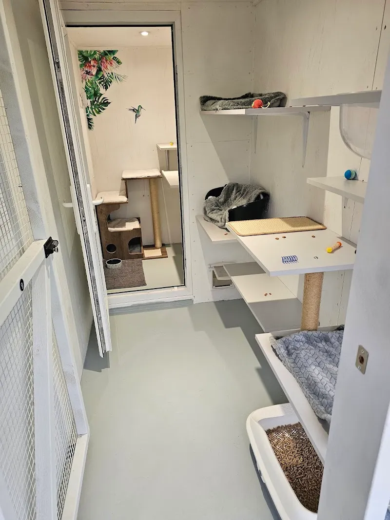 Purrchester Cat & Small Animal Hotel