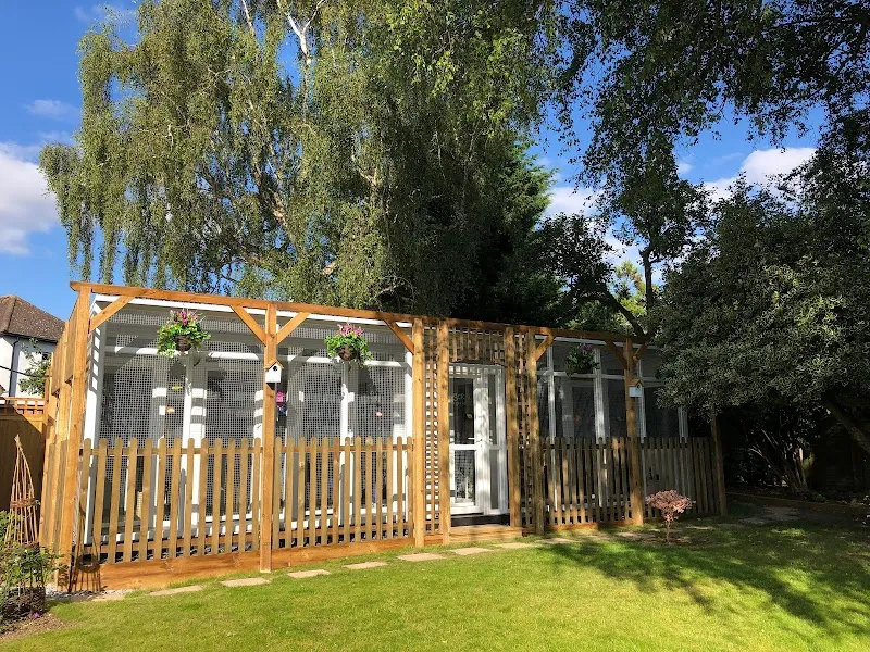 Longcroft Luxury Cat Hotel Orpington / Greater London