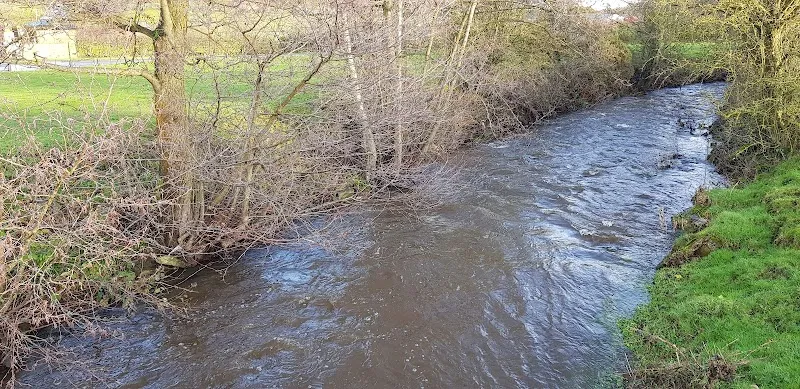 The Barkary - Boarding, Daycare & Grooming