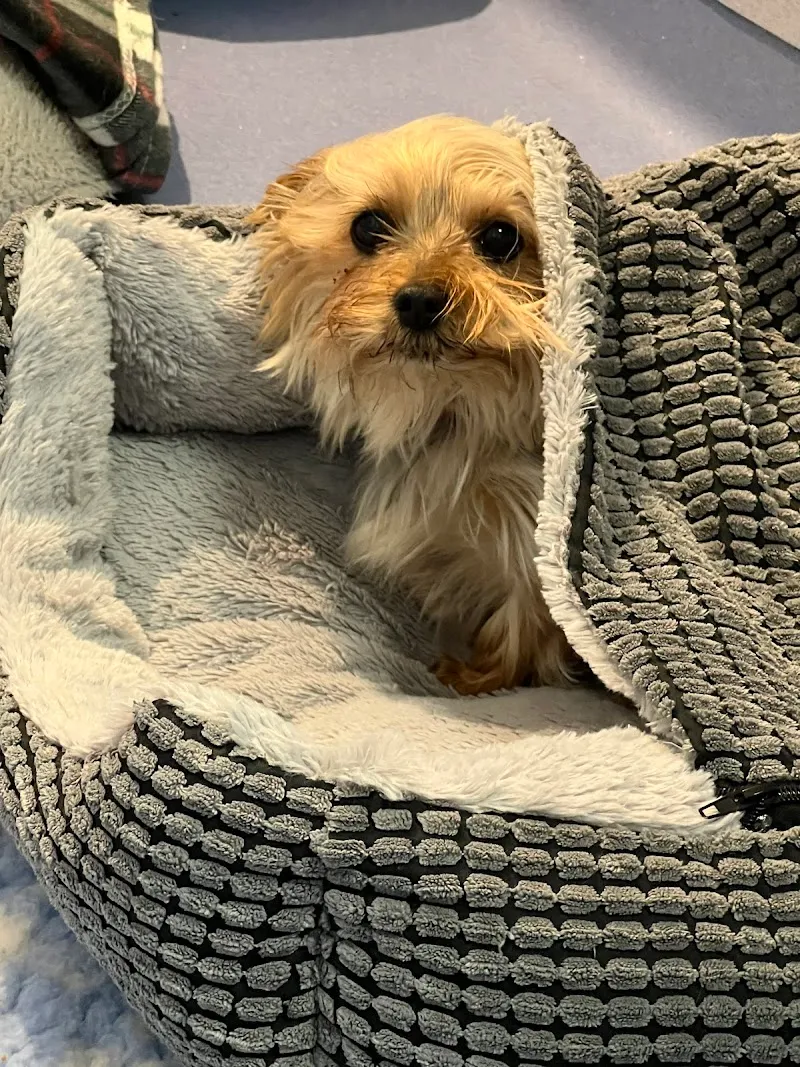 Greenways Kennels & Cattery