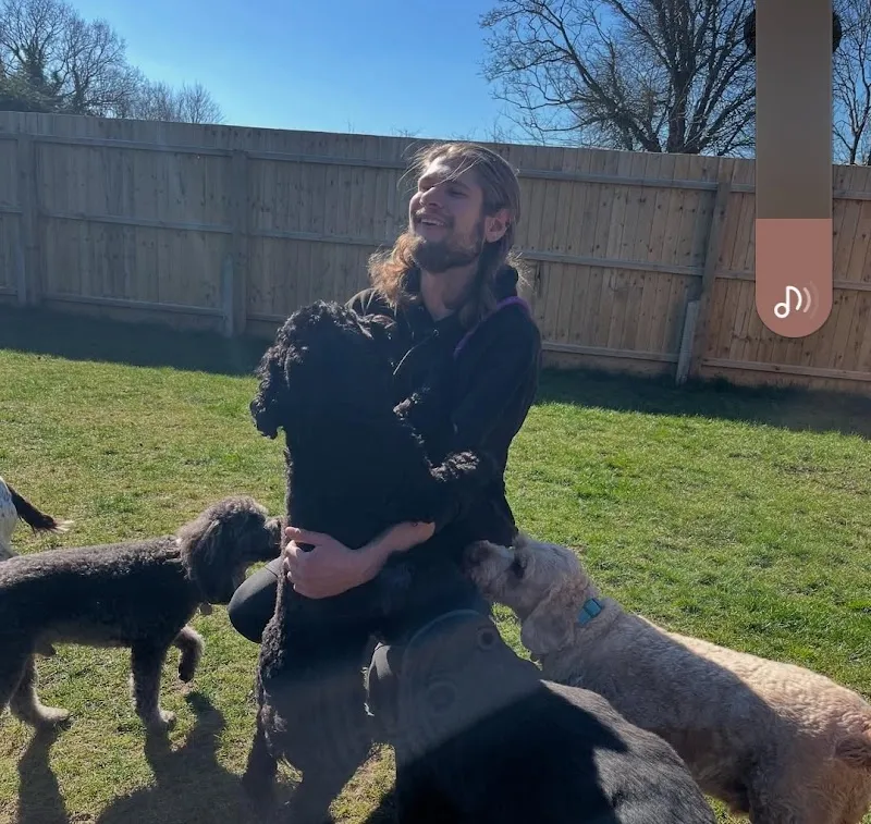 Waggy's Dog Boarding, Daycare and Grooming