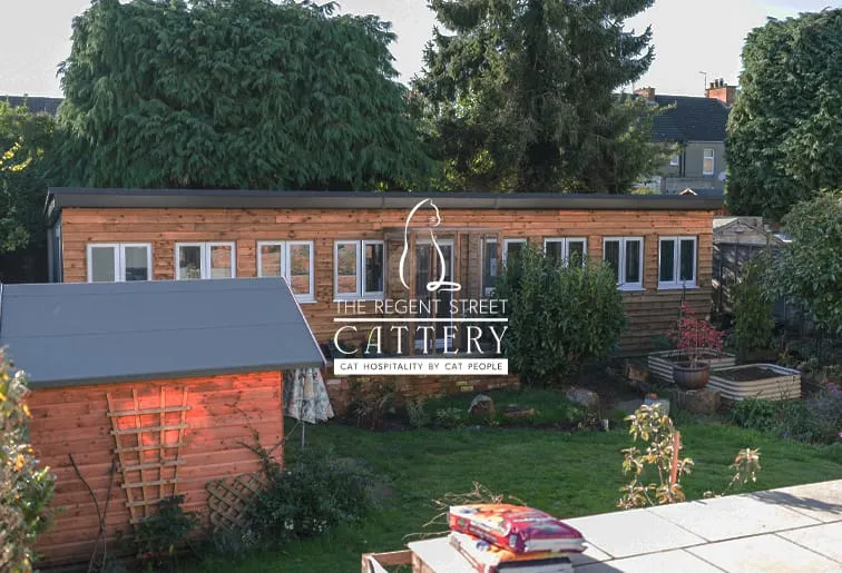 The Regent Street Cattery, Kettering - Photo 2 of 2