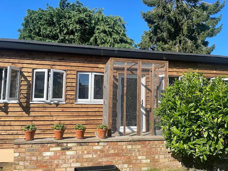 The Regent Street Cattery