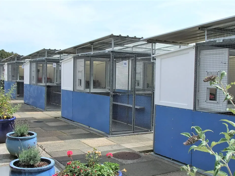 Seathwaite Luxury Cattery - Photo 2