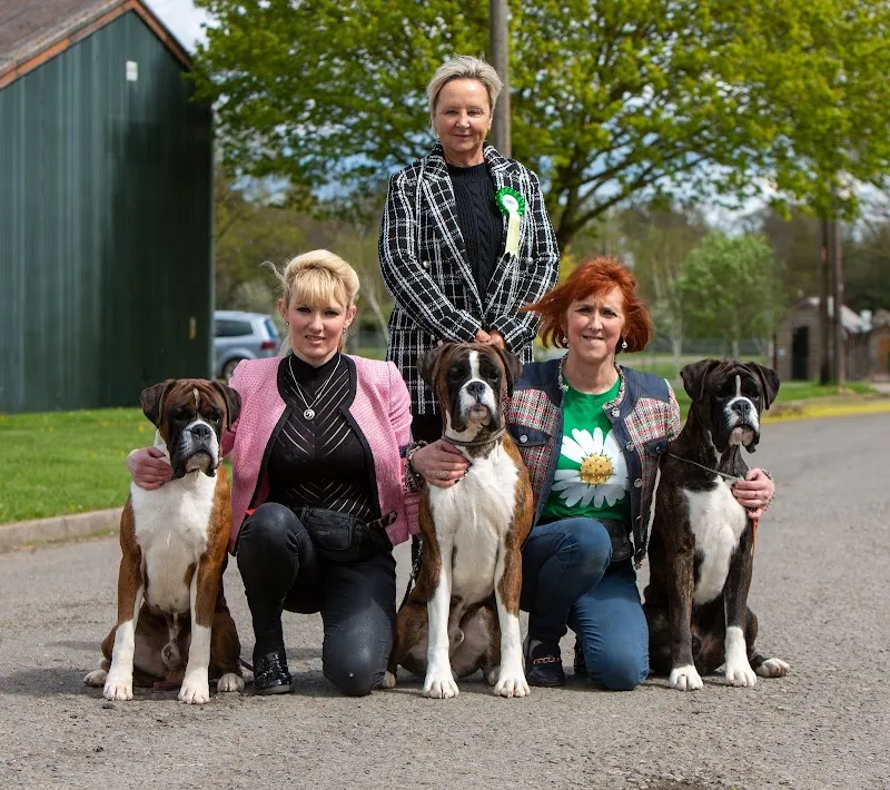 Glenauld Kennels & Cattery