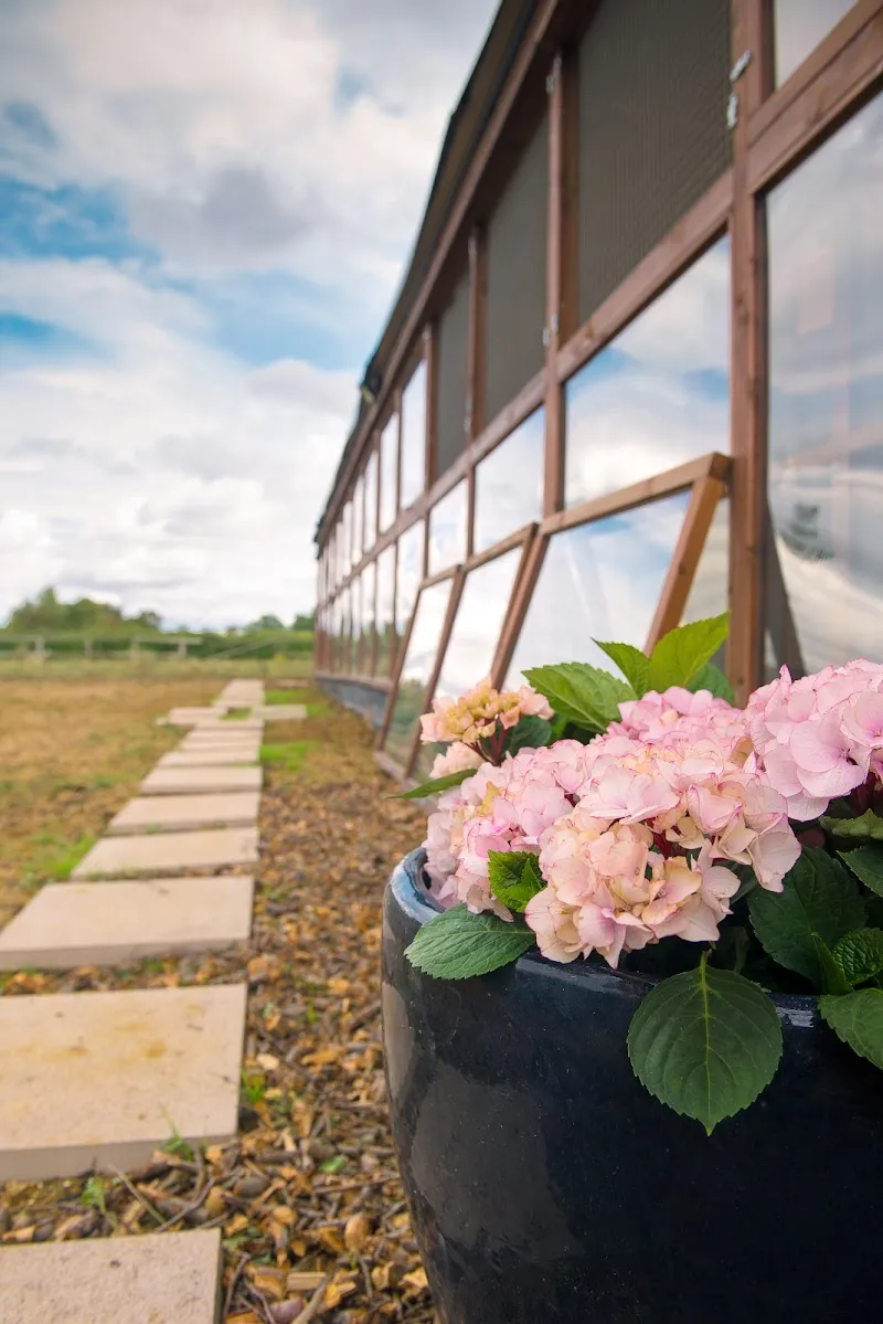 Greenside Boutique Cattery