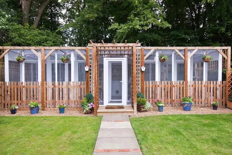 Longcroft Luxury Cat Hotel Welwyn, Hertfordshire