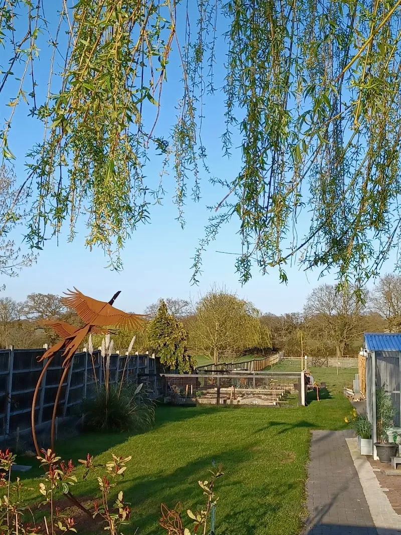 Willow Tree Cattery
