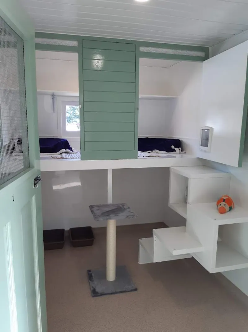 Hall Park Barn Cattery