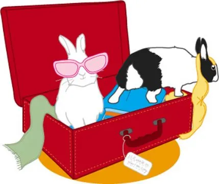 The Little Warrens, Farnborough